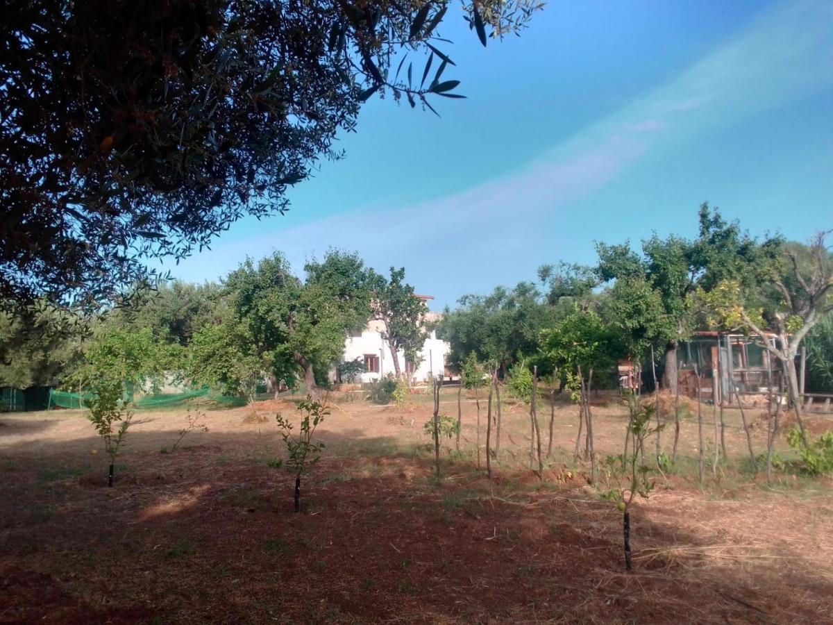 Casa Vacanza Maria Antonieta Marina di Camerota Exterior foto